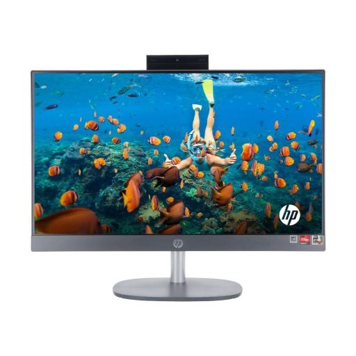 AIO HP ProOne 245 G10 Ryzen 5 (B4LT6PT)