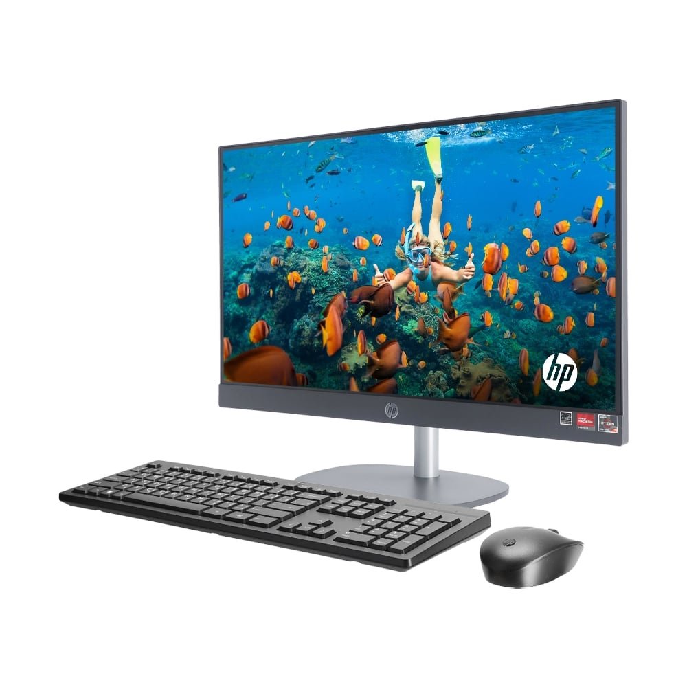 AIO HP ProOne 245 G10 Ryzen 5 (B4LT6PT)