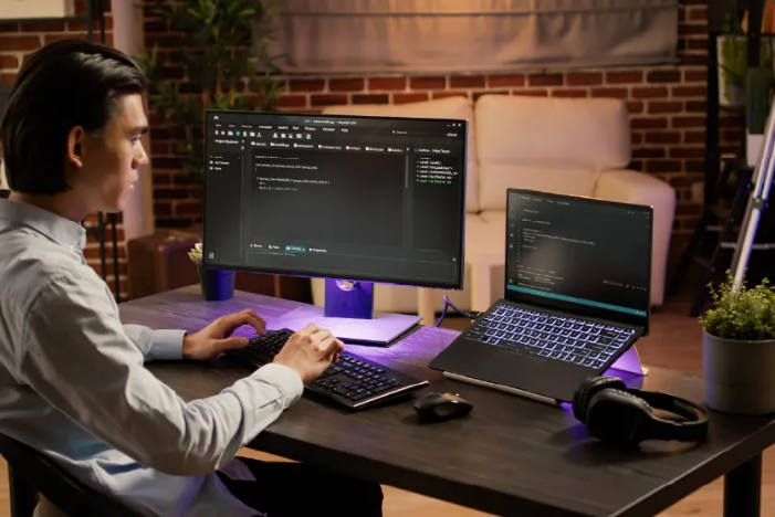 System Developer