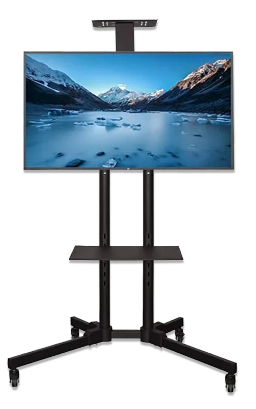TV with Stand