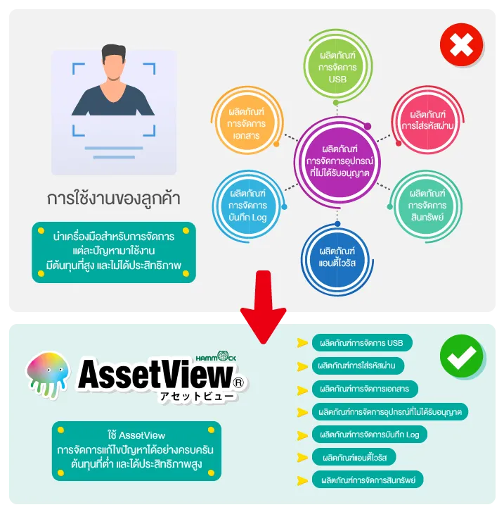 AssetView integrated management diagram